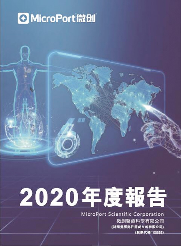 2020年年度陈诉